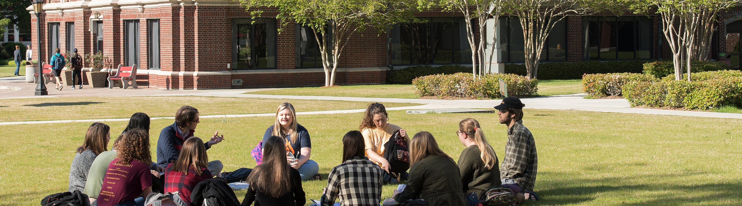 Students studying on lawn